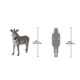 design-toscano-grand-scale-african-zebra-statue-ne110075