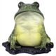 Design Toscano Great Green Barred Frog Statue NE130060 - Image 3