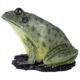 Design Toscano Great Green Barred Frog Statue NE130060 - Image 9