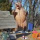 Design Toscano Growling Grizzly Bear Life-Size Statue NE120049 - Image 2