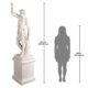 design-toscano-hercules-with-nemean-lion-pelt-garden-statue-with-plinth-ne930608