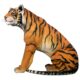 design-toscano-jungle-giant-bengal-tiger-statue-ne200006