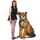design-toscano-jungle-giant-bengal-tiger-statue-ne200006