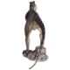 Design Toscano Jurassic-Sized Attacking Allosaurus Dinosaur Statue NE100053 - Image 6