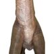 Design Toscano Jurassic-Sized Brachiosaurus Dinosaur Statue NE100055 - Image 11