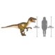 Design Toscano Jurassic-Sized Dromaeosaurus Raptor Dinosaur Statue NE110115 - Image 8