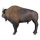 Design Toscano Large Scale Buffalo of the Great Plains Statue NE170229 - Image 5