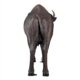 Design Toscano Large Scale Buffalo of the Great Plains Statue NE170229 - Image 6