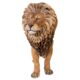 design-toscano-life-size-king-of-the-lions-statue-ne110101