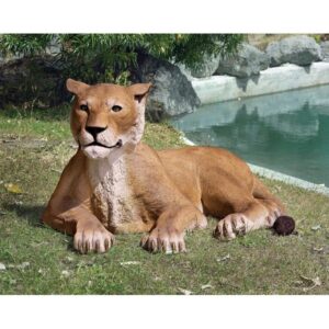 design-toscano-lioness-lying-down-life-size-garden-statue-ne80115