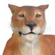 design-toscano-lioness-lying-down-life-size-garden-statue-ne80115