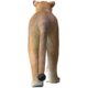 design-toscano-lioness-on-the-prowl-garden-statue-ne180220