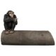 design-toscano-monkey-see-monkey-do-chimpanzee-photo-op-sculptural-bench-ne1800