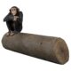 design-toscano-monkey-see-monkey-do-chimpanzee-photo-op-sculptural-bench-ne1800