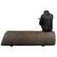 design-toscano-monkey-see-monkey-do-chimpanzee-photo-op-sculptural-bench-ne1800