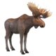 Design Toscano North American Majestic Moose Full Scale Animal Statue NE170211 - Image 2