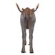Design Toscano North American Majestic Moose Full Scale Animal Statue NE170211 - Image 4