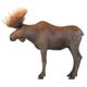 Design Toscano North American Majestic Moose Full Scale Animal Statue NE170211 - Image 5