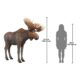 Design Toscano North American Majestic Moose Full Scale Animal Statue NE170211 - Image 7