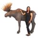 Design Toscano North American Majestic Moose Full Scale Animal Statue NE170211 - Image 8
