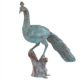 design-toscano-pleasant-peacock-cast-bronze-garden-statue-dd2198