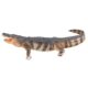 design-toscano-stalking-swamp-predator-alligator-garden-statue-ne80142