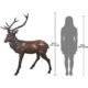 Design Toscano Standing Deer Buck Cast Bronze Garden Statue PB1096 - Image 6