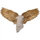 design-toscano-take-flight-classical-male-torso-angel-wing-wall-sculpture-ne210070