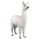 design-toscano-the-alpacalypse-of-alpaca-garden-statues-giant-ne80074