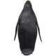 design-toscano-the-antarctic-king-penguin-statue-grande-ne170071