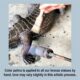 design-toscano-the-duval-double-cherub-cast-bronze-garde-urn-su3192