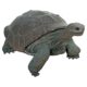 design-toscano-the-galapagos-tortoise-grand-scale-turtle-statue-ne80124