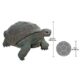 design-toscano-the-galapagos-tortoise-grand-scale-turtle-statue-ne80124