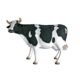 Design Toscano The Grande-Scale Wildlife Animal Collection: Holstein Cow Statue NE80139 - Image 4