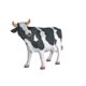 Design Toscano The Grande-Scale Wildlife Animal Collection: Holstein Cow Statue NE80139 - Image 8