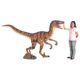 design-toscano-velociraptor-jurassic-sized-dinosaur-statue-ne110015