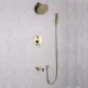 Eviva Splash Gold Coated Shower and Tub Faucet Set EVSH76GD