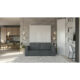 murphy-bed-with-sofa