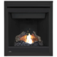 Napoleon 30'' Ascent Direct Vent Fireplace