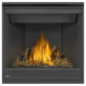 Napoleon Ascent™ X 36 Direct Vent Fireplace, Natural Gas, Alternate Electronic Ignition GX36NTREA-1