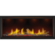 Napoleon 62'' Direct Vent Fireplace