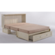 Cabinet Bed