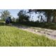 Power Rake | 84'' | Blue Diamond Attachments - Image 6