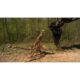 Blue Diamond Excavator Tree Grubber Attachment – Permanent Taproot Removal - Image 3
