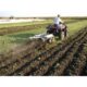 Kunz Engineering 43'' Wide Chisel Plow Till-Ease - Image 6